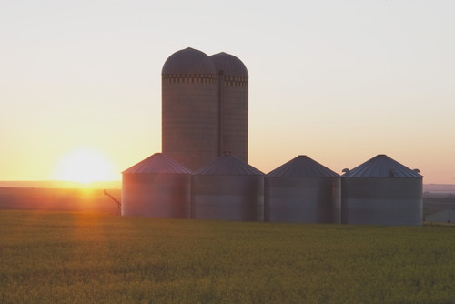 Alberta, Canada; Grain Bins At Sunrise PosterPrint - Item # VARDPI1866788