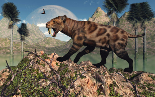 A carnivorous Sabre-Tooth Tiger attacking a young Deinotherium