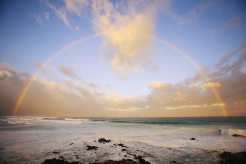 Hawaii, Maui, Rainbow offshore of Hookipa Beach at sunrise PosterPrint - Item # VARDPI2087115