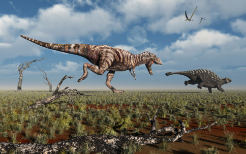 A carnivorous Tyrannosaurus Rex giving chase to a herbivorous Ankylosaurus during Earth's Cretaceous Period Poster Print - Item # VARPSTMAS100679P