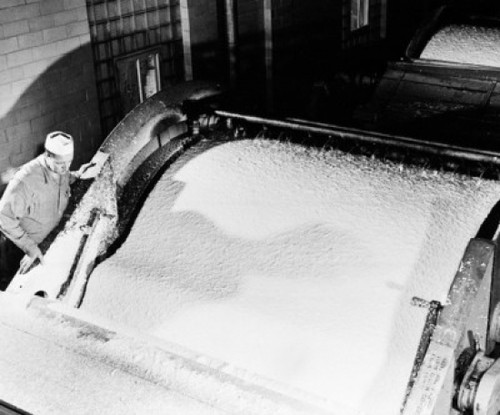High angle view of a worker working in a paper mill Poster Print - Item # VARSAL25535117
