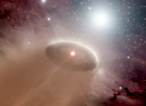 An O-star just behind a young, cooler star and its swirling disk of planet-forming material Poster Print
