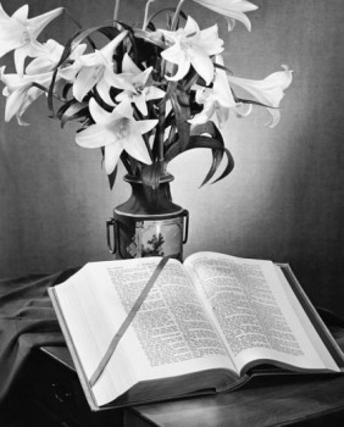 Easter Lilies in a vase and Bible Poster Print - Item # VARSAL25539951