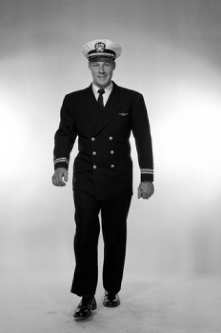 Studio portrait of male pilot walking Poster Print - Item # VARSAL255417584