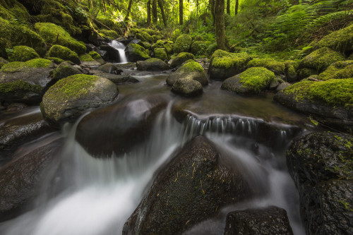 Ruckel Creek; Oregon, United States of America PosterPrint - Item # VARDPI12281500