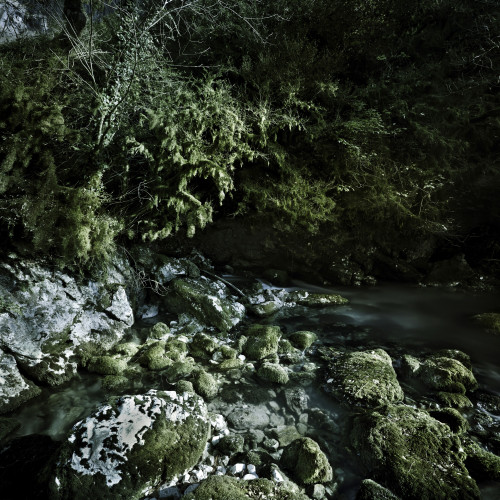 Aged boulders covered with moss in a forest, Ritsa Nature Reserve, Abkhazia, Georgia Poster Print - Item # VARPSTEVK200189S