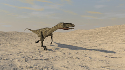 Coelophysis running across a barren desert Poster Print - Item # VARPSTKVA600099P