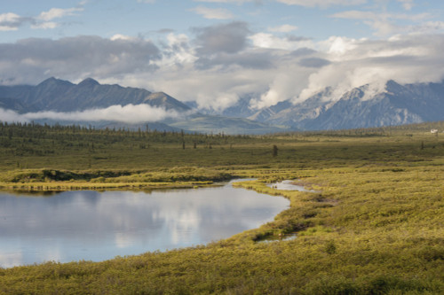 Scenic view along Richardson Highway, Interior Alaska, summer PosterPrint - Item # VARDPI12256934