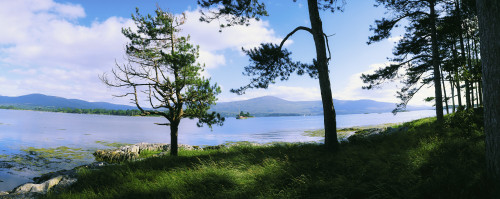 Kenmare Bay, Dunkerron Islands, Co Kerry, Ireland; Shoreline On A Bay PosterPrint - Item # VARDPI1804377