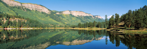 http://c328301.r1.cf1.rackcdn.com/PPI128802S.jpg