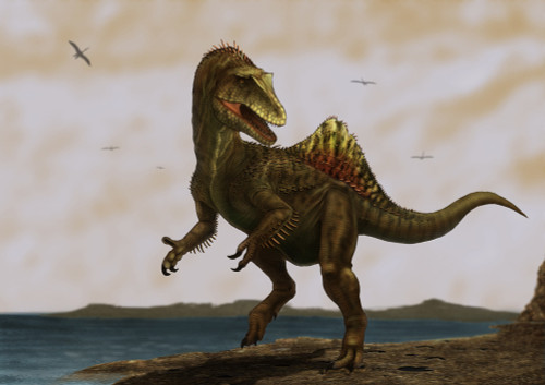A Concavenator corcovatus running on the beach Poster Print - Item # VARPSTARZ600009P