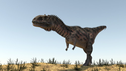 Majungasaurus in a barren environment Poster Print - Item # VARPSTKVA600810P