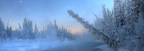 Sunrise Over The Morley River In Winter, Yukon PosterPrint - Item # VARDPI2049342