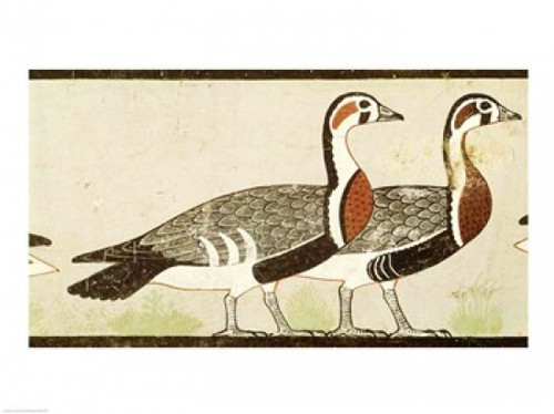 http://c328301.r1.cf1.rackcdn.com/BALXIR175588.jpg