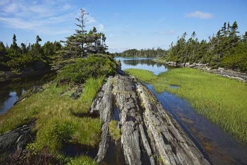 Coast East of Lunenburg; Nova Scotia, Canada PosterPrint - Item # VARDPI2429672