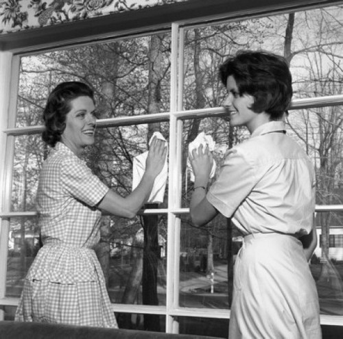 Mother and adult daughter cleaning window Poster Print - Item # VARSAL255420797