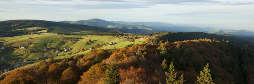 Landscape with autumn colours, near Hofsgrund; Black Forest, Germany PosterPrint - Item # VARDPI2426599