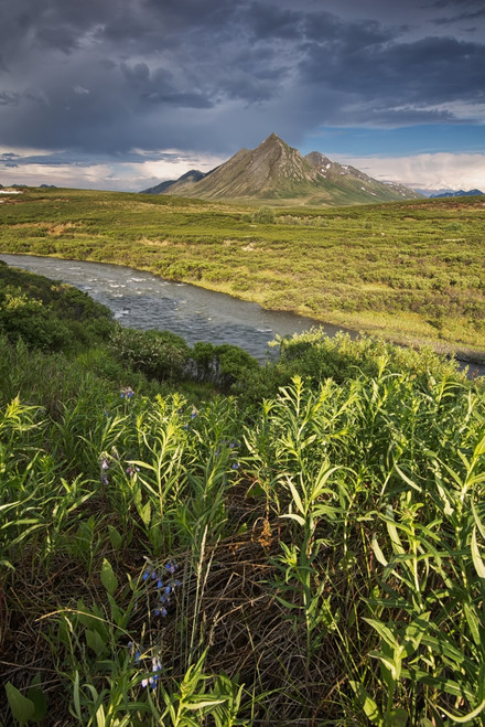 Angelcomb Mountain Lit By Late Afternoon Light Along The Dempster Highway;Yukon Canada PosterPrint - Item # VARDPI2305566