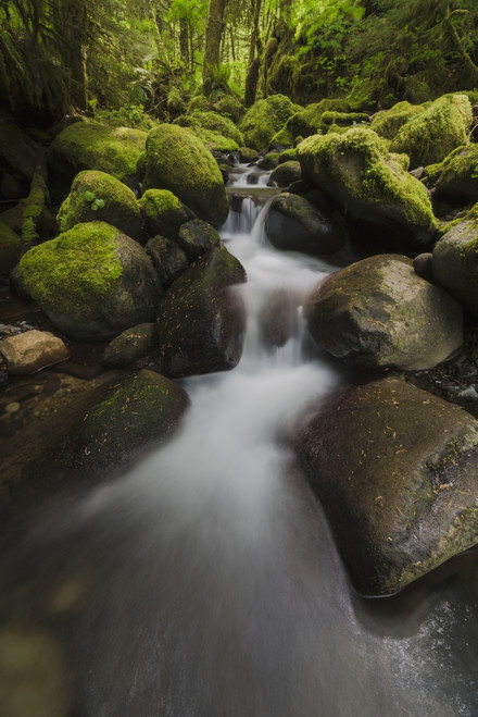 Ruckel Creek; Oregon, United States of America PosterPrint - Item # VARDPI12281497