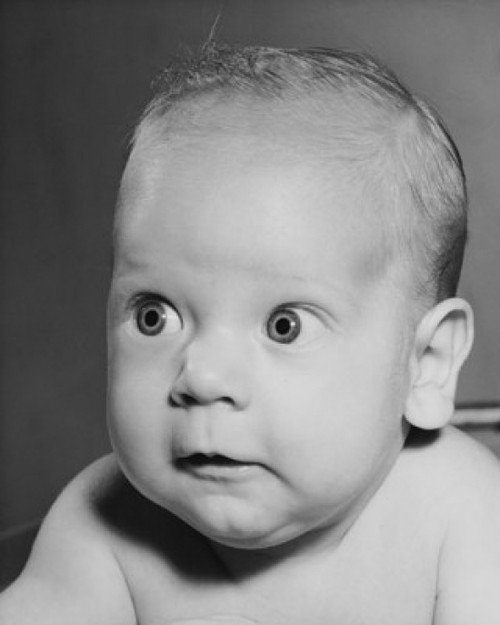 Baby looking curious Poster Print - Item # VARSAL2559456