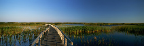 Bowley Pond Boardwalk, King's County, Greenwich, Prince, Edward Island. PosterPrint - Item # VARDPI2020872