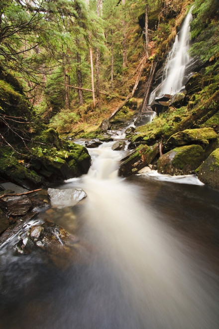 Waterfall On Institute Creek, Wrangell Island Alaska PosterPrint - Item # VARDPI2095344