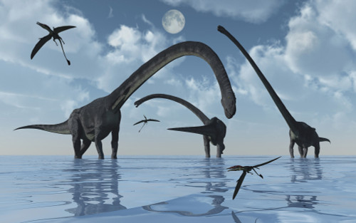 A herd of Omeisaurus sauropod dinosaurs from the Jurassic period. Poster Print - Item # VARPSTMAS100642P