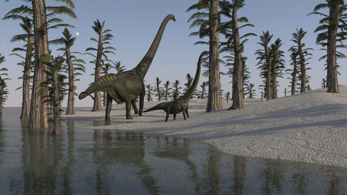 Two Mamenchisaurus roaming along the shoreline Poster Print