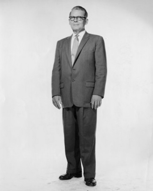 Portrait of senior businessman standing Poster Print - Item # VARSAL25548167