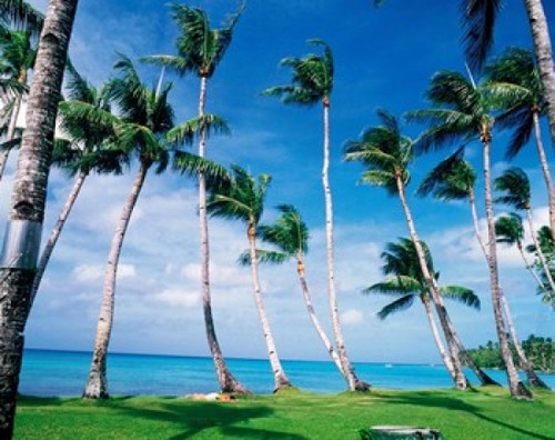 Palm trees Turkey Poster Print by Panoramic Images (36 x 29) - Item # PPI49505