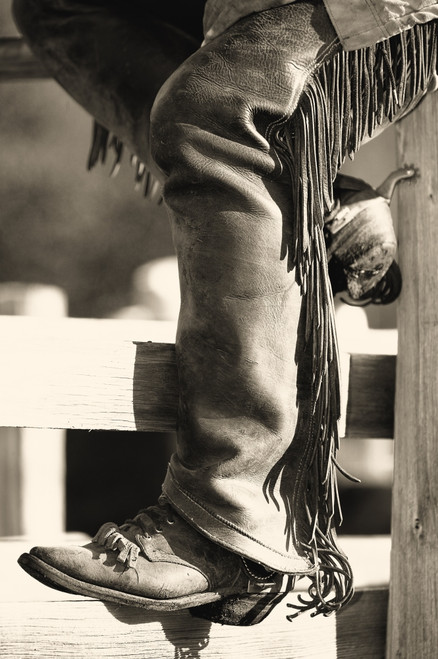 Cowboy PosterPrint - Item # VARDPI1774195