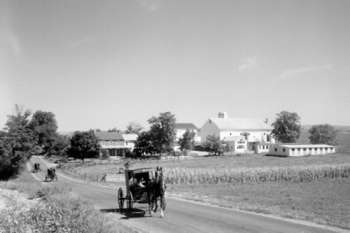 Pennsylvania  Amish carriages Poster Print - Item # VARSAL255419585