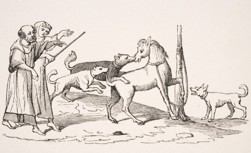 Fight Between Horses And Dogs. 19Th Century Reproduction Of 13Th Century Manuscript PosterPrint - Item # VARDPI1857935