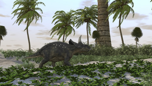 Triceratops in a prehistoric environment Poster Print - Item # VARPSTKVA600383P