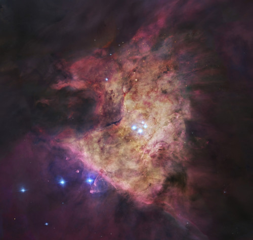 The center of the Orion Nebula, known as the Trapezium Cluster Poster Print