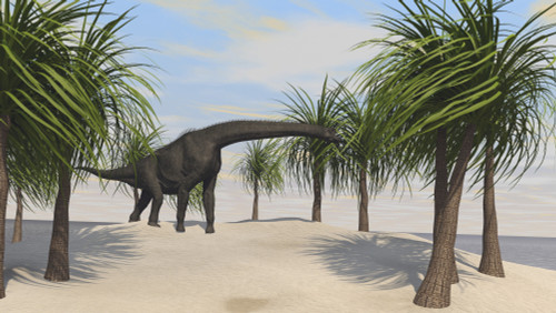 Large Brachiosaurus grazing on trees Poster Print - Item # VARPSTKVA600257P