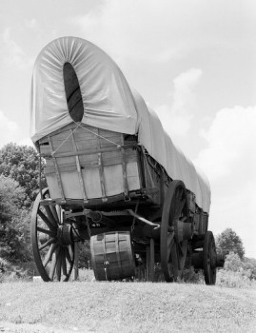 Old wagon on meadow Poster Print - Item # VARSAL255422493