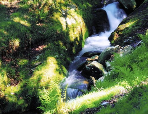 Glendalough, Co Wicklow, Ireland; Waterfall PosterPrint - Item # VARDPI1804390