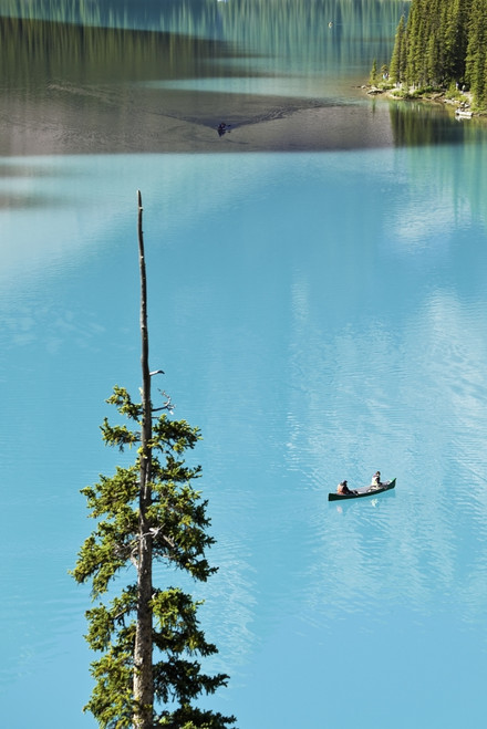 Canoeing On Turquoise Water Of Moraine Lake, Valley Of The Ten Peaks, Banff National Park, Alberta PosterPrint - Item # VARDPI2046185