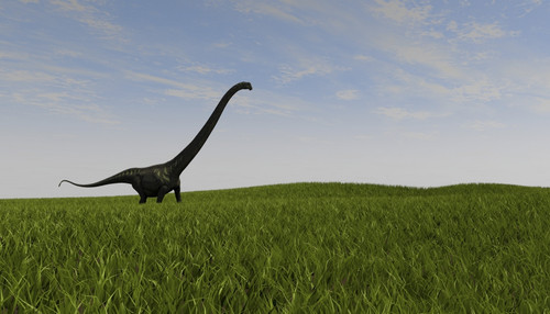 Mamenchisaurus walking across a grassy field Poster Print