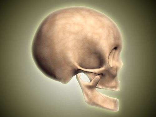 Conceptual image of human skull, side view Poster Print - Item # VARPSTSTK700609H