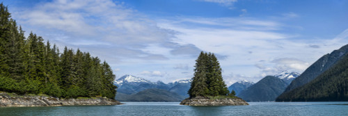 http://c328301.r1.cf1.rackcdn.com/PPI164226S.jpg