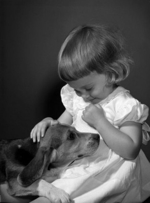 Girl playing with beagle puppy  studio shot Poster Print - Item # VARSAL255416232