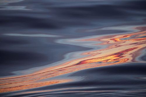 Sunset during late summer on west coast; Greenland PosterPrint - Item # VARDPI2305452