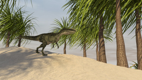 Monolophosaurus in a tropical environment Poster Print - Item # VARPSTKVA600289P