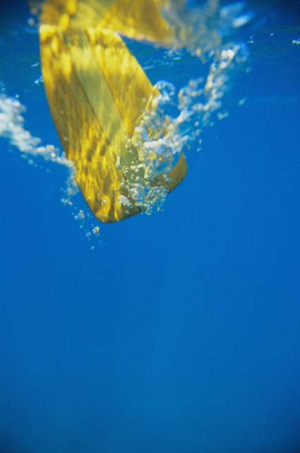 Underwater View Of Yellow Paddle Stroking Water, Creating Bubbles. PosterPrint - Item # VARDPI1987473