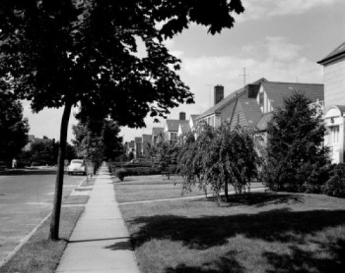 USA  New York State  Flushing  Street of Suburbean Houses Poster Print - Item # VARSAL255422531