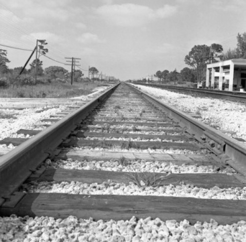 Railroad tracks passing through a landscape Poster Print
