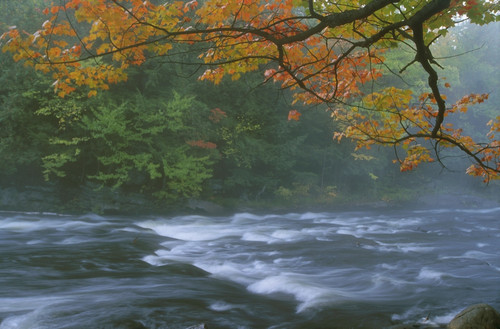 Oxtongue River Provincial Park, Dwight, Ontario PosterPrint - Item # VARDPI2025189