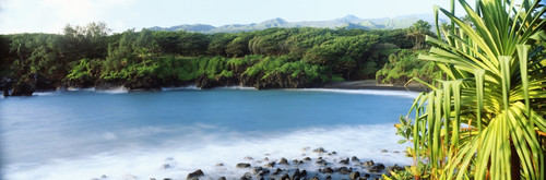 USA, Hawaii, Maui, Waianapanapa State Park; Hana, Lush Green Foliage And Frothy Ocean On Lava Rocks PosterPrint - Item # VARDPI1976455